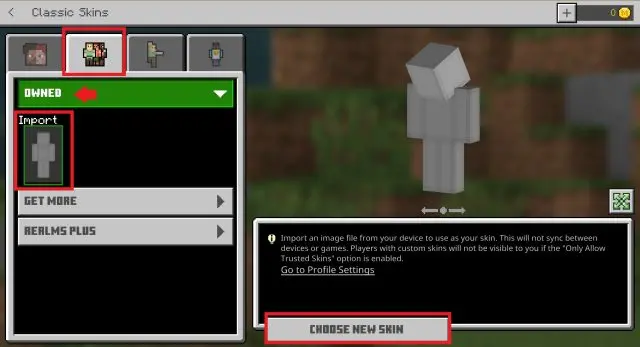 Install Minecraft Skins with skindex step 6