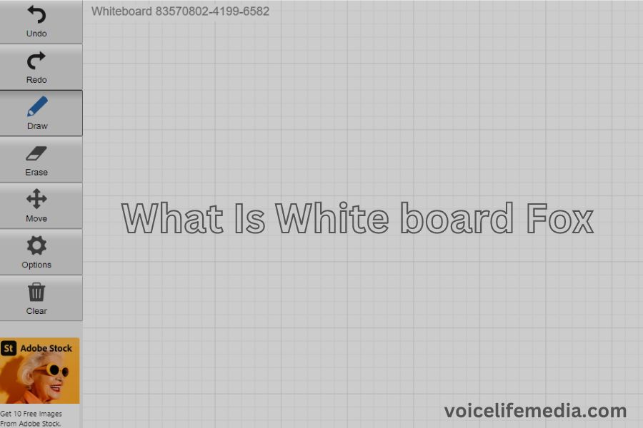What Is Whiteboard Fox